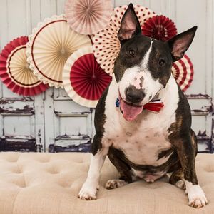 Meet your Posher, Denise